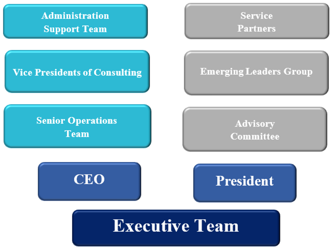 organizational structure